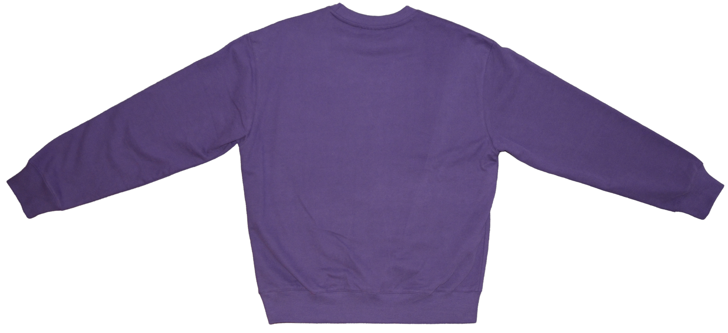 Dubs Nation Sweatshirt